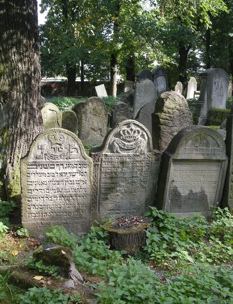 Stary cmentarz żydowski w Tarnowie